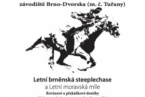 Pozvání na brněnské dostihy