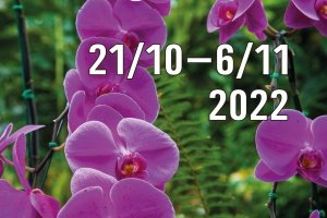 Výstaviště Flora Olomouc - svět lega a výstava orchidejí