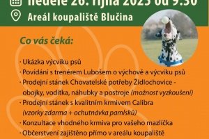 Neděle pro milovníky a chovatele psů