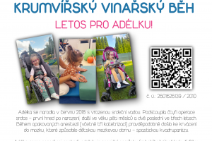 Winerun - Krumvířský vinařský běh