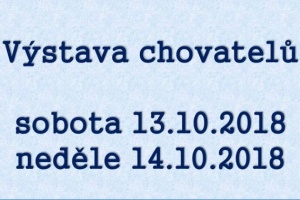 Výstava chovatelů