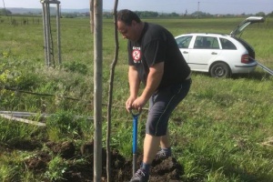 Výměna uschlého stromu, 18.5.2019