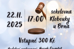 25. Společenský večer s dobročinnou aukcí