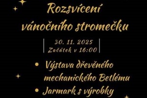 vanocni_strom_nesvacilka